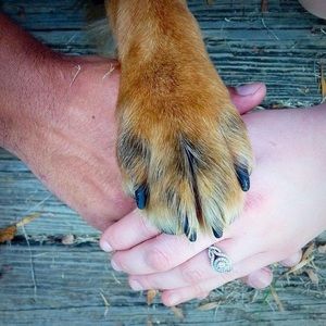 Meet your Posher, Kelsey